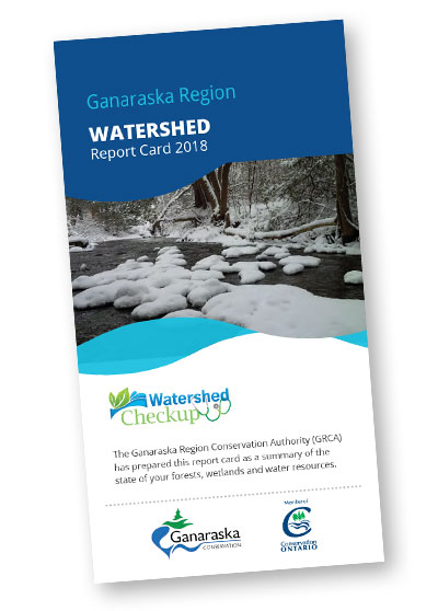 Watershed Report
