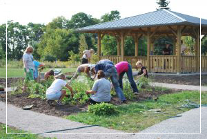 Volunteering
