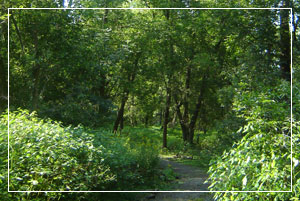 Millenium Conservation Area