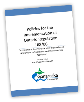 policy