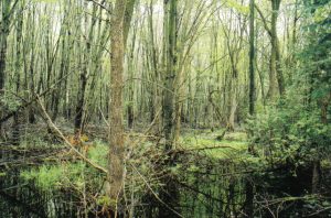 Conservation Land Tax Incentive Program