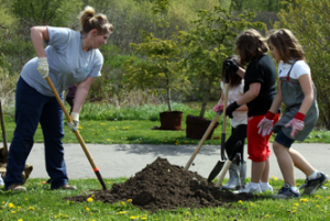 Tree Planting - Planning for Tree Planting