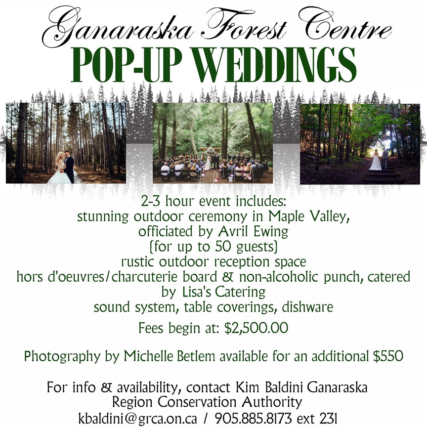 Pop Up Weddings